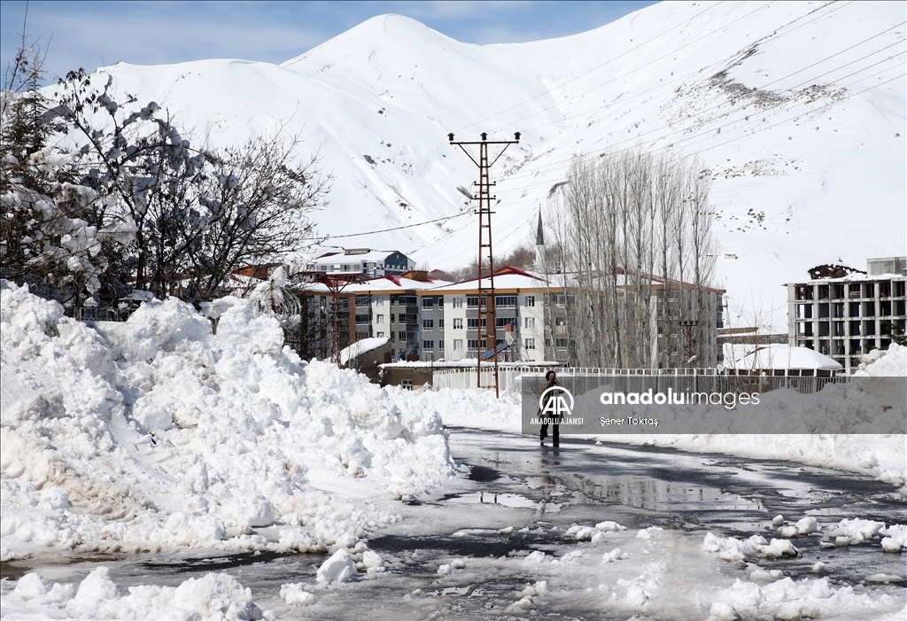 Bitlis'te kar