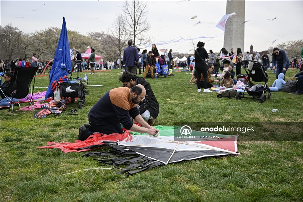 Washington'da Ulusal Kiraz Çiçeği Uçurtma Festivali 