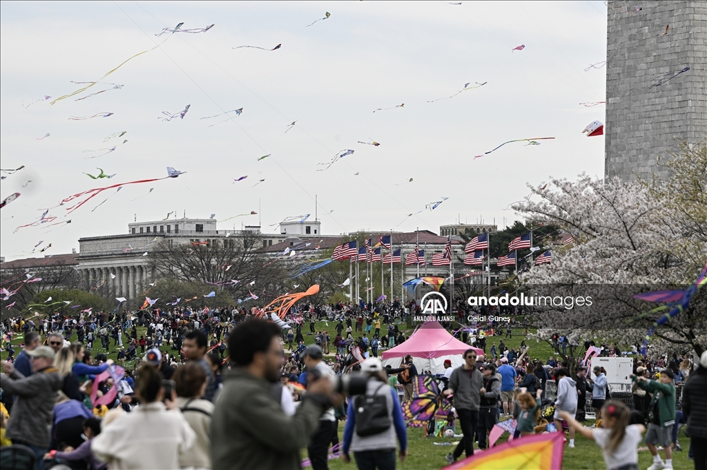 Washington'da Ulusal Kiraz Çiçeği Uçurtma Festivali 