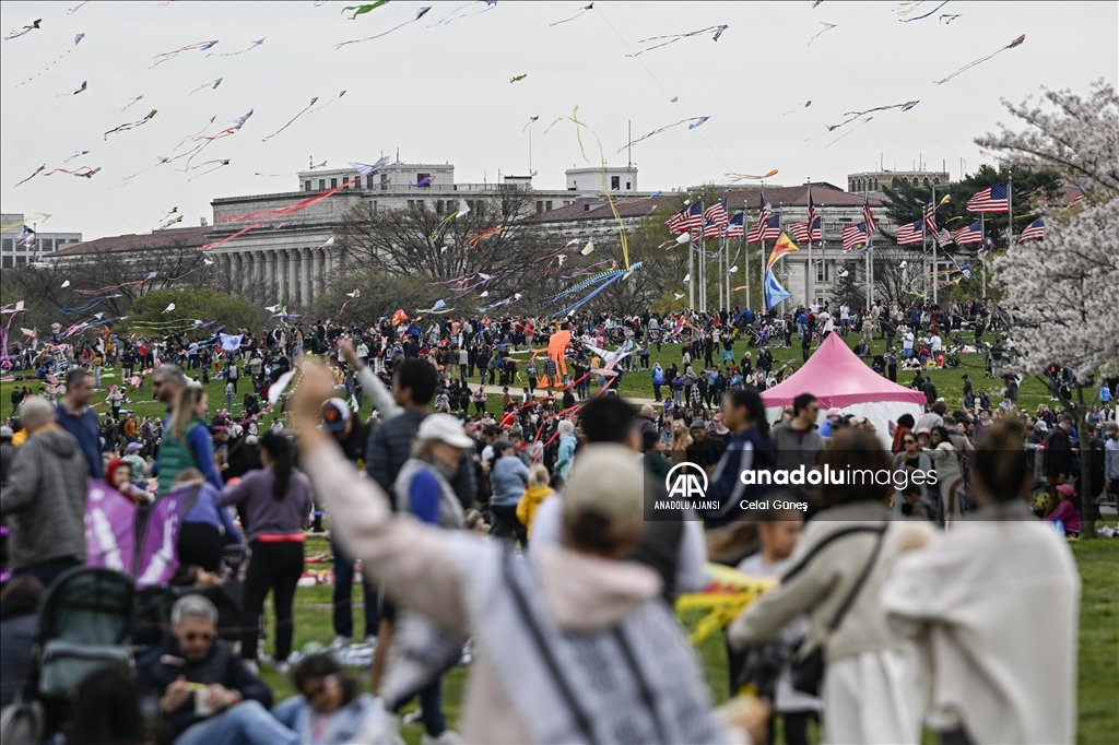 Washington'da Ulusal Kiraz Çiçeği Uçurtma Festivali 