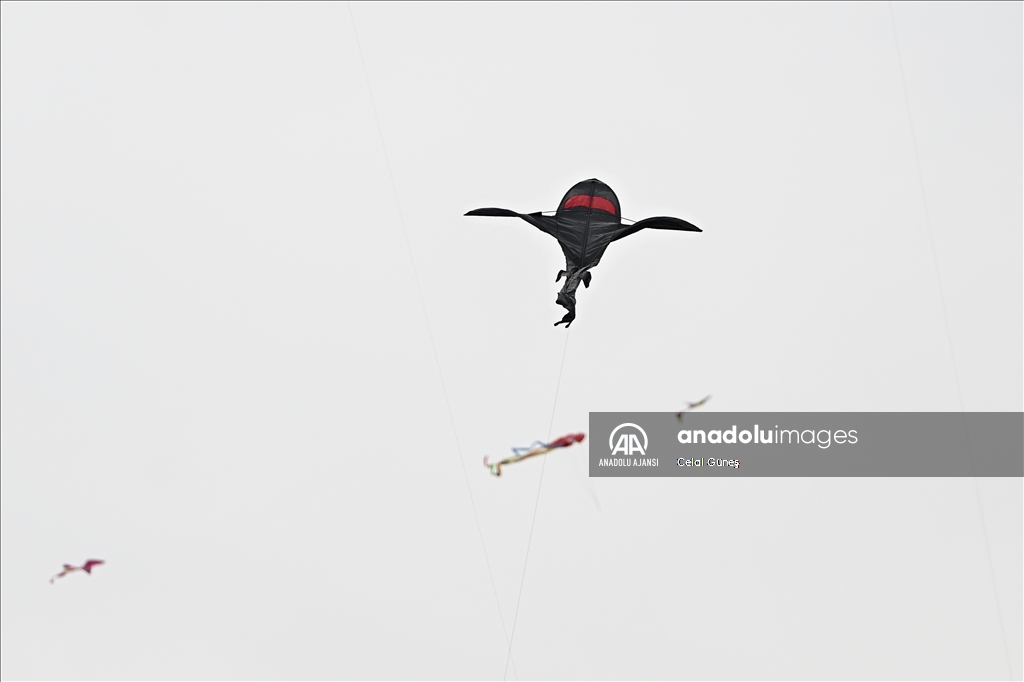 Washington'da Ulusal Kiraz Çiçeği Uçurtma Festivali 