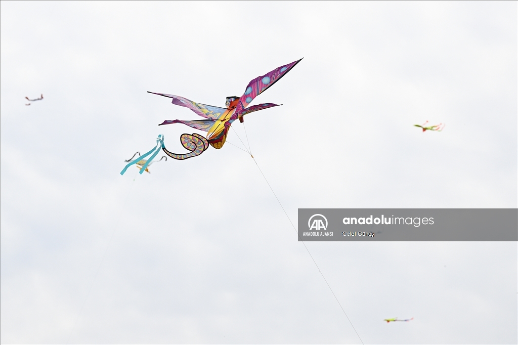 Washington'da Ulusal Kiraz Çiçeği Uçurtma Festivali 