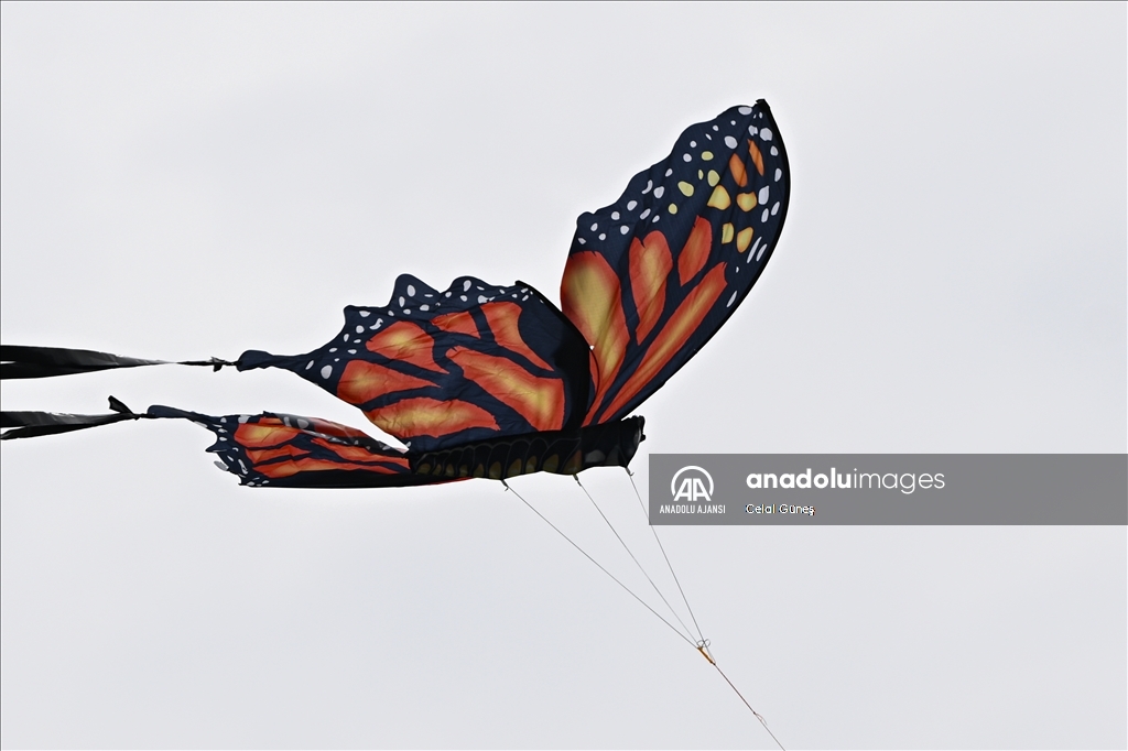 Washington'da Ulusal Kiraz Çiçeği Uçurtma Festivali 