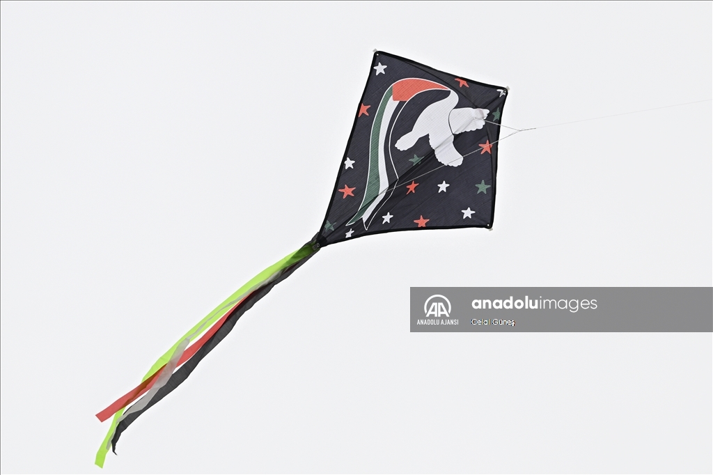 Washington'da Ulusal Kiraz Çiçeği Uçurtma Festivali 