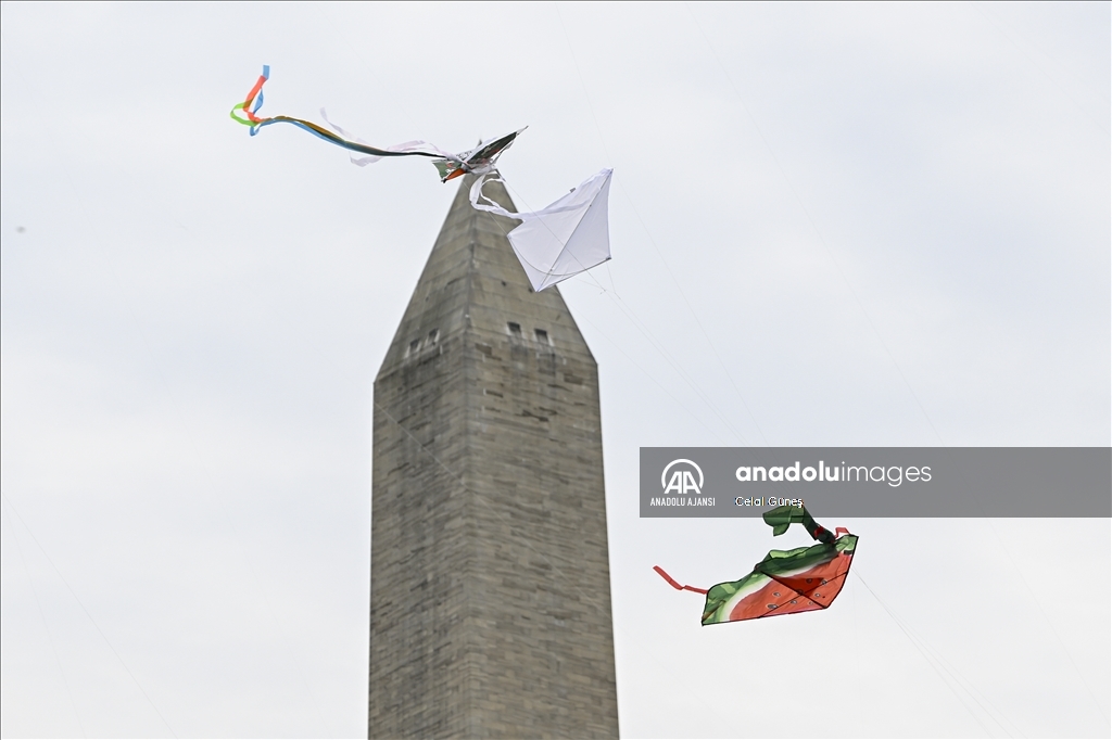 Washington'da Ulusal Kiraz Çiçeği Uçurtma Festivali 