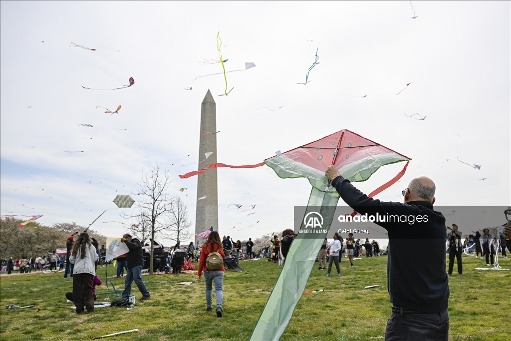 Washington'da Ulusal Kiraz Çiçeği Uçurtma Festivali 