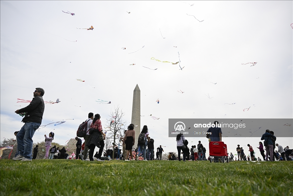 Washington'da Ulusal Kiraz Çiçeği Uçurtma Festivali 