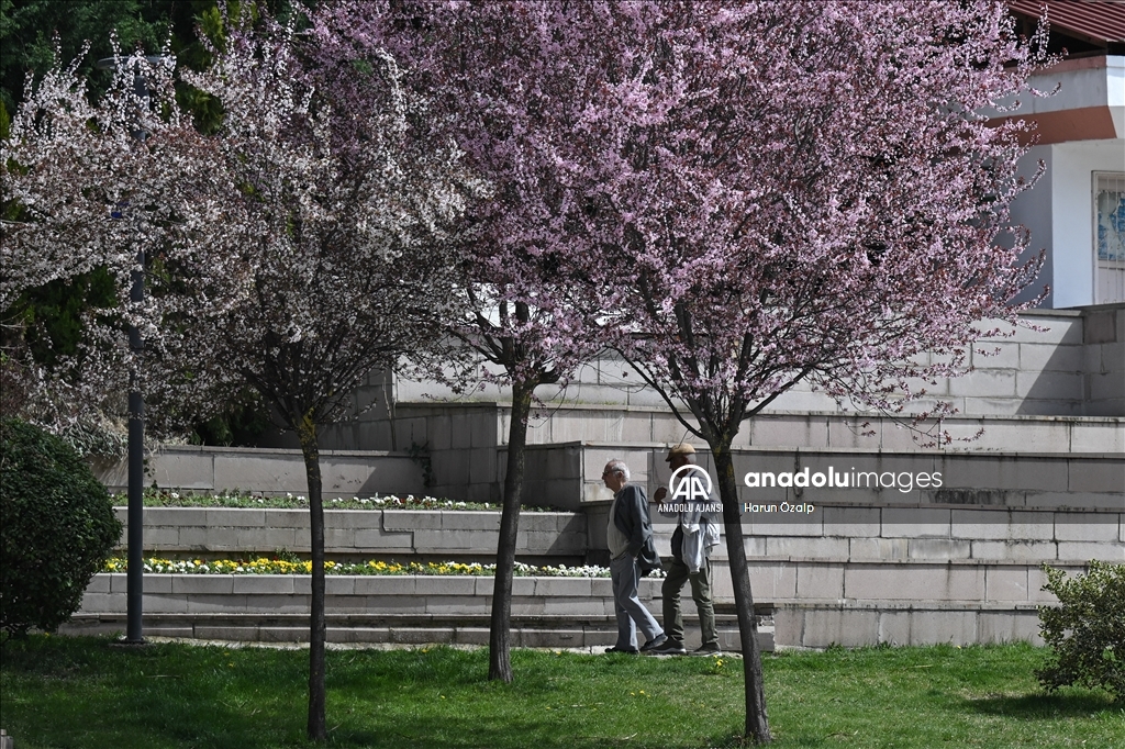 Ankara'da ilkbahar