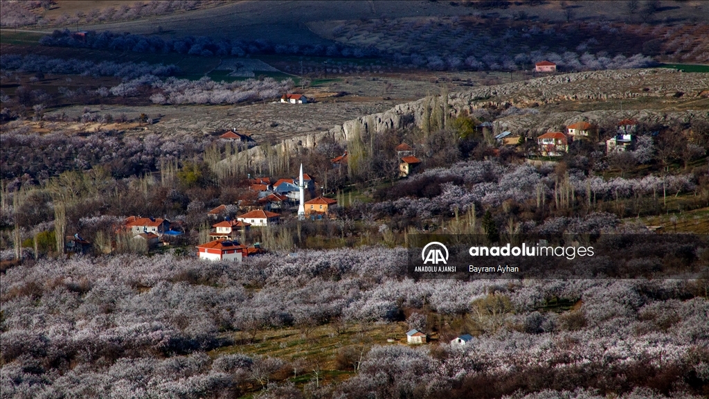 Malatya çiçek açtı