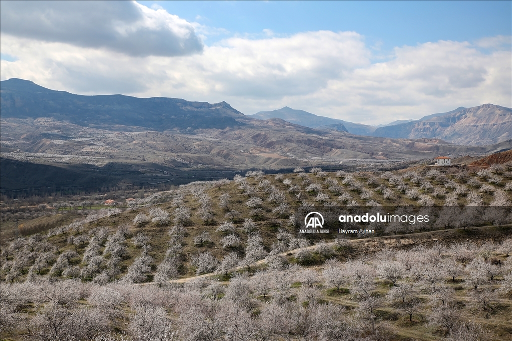 Malatya çiçek açtı