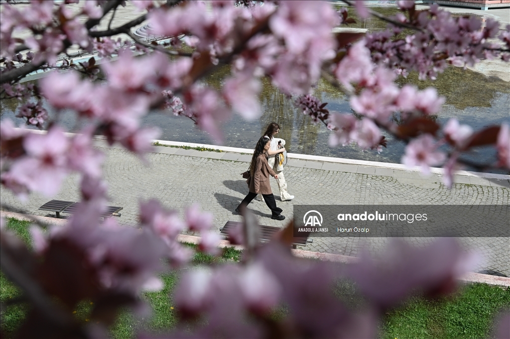 Ankara'da ilkbahar