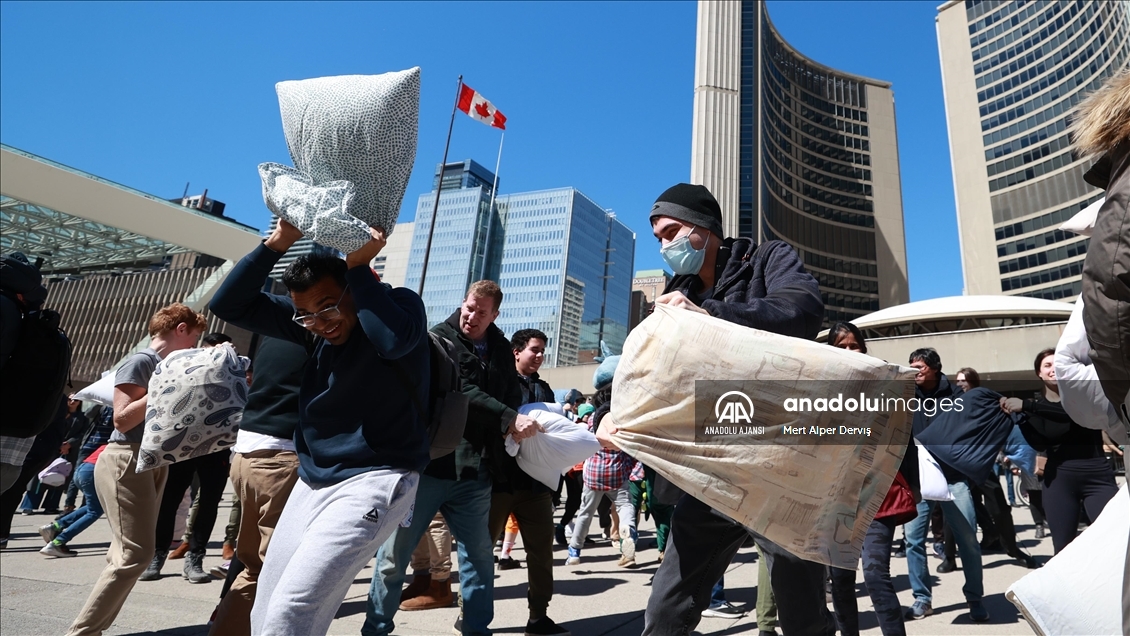 Toronto'da Uluslararası Yastık Savaşı Günü
