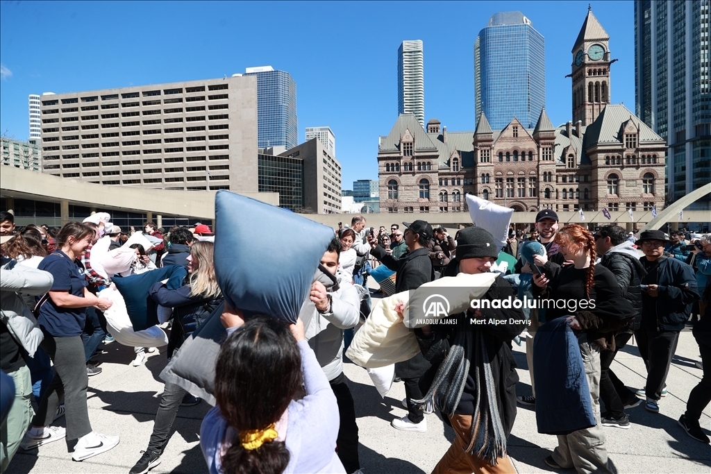 Toronto'da Uluslararası Yastık Savaşı Günü