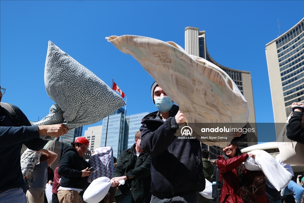 Toronto'da Uluslararası Yastık Savaşı Günü