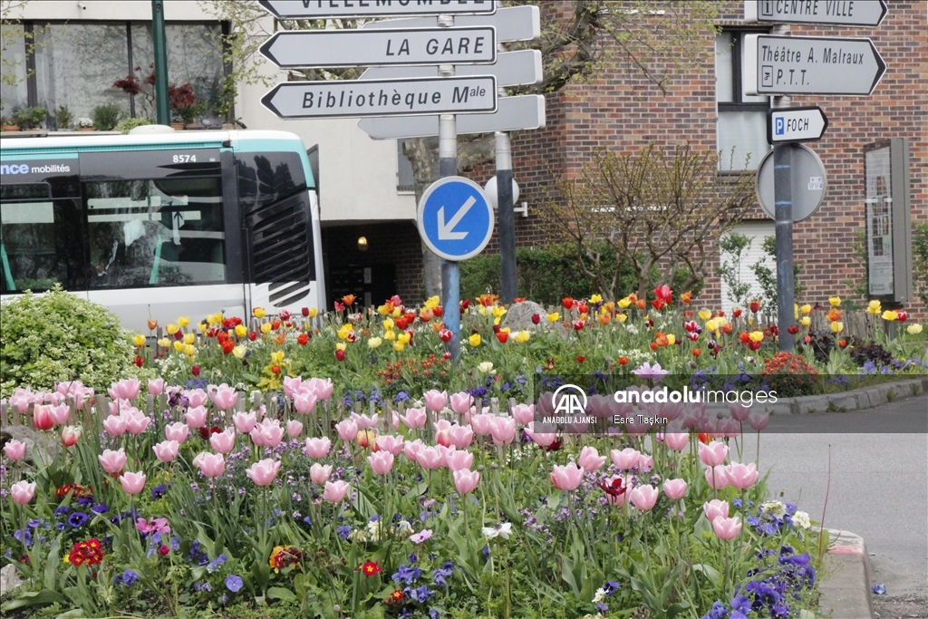 Paris'te baharın gelişiyle çiçekler açtı