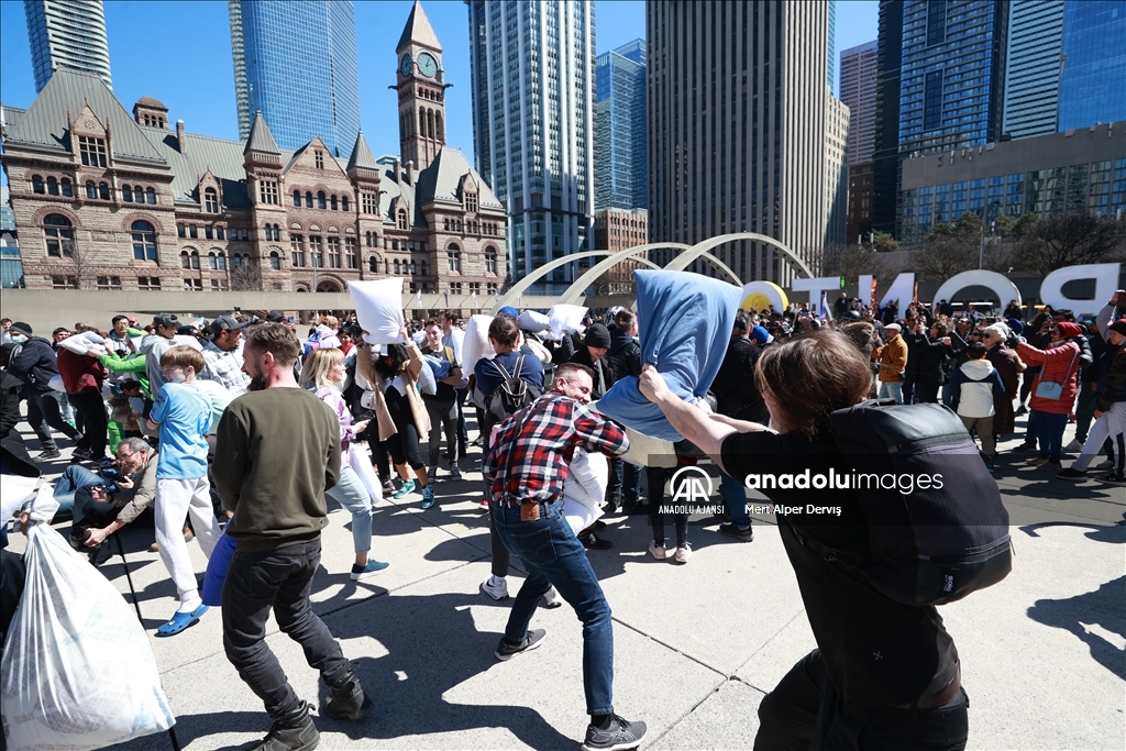 Toronto'da Uluslararası Yastık Savaşı Günü