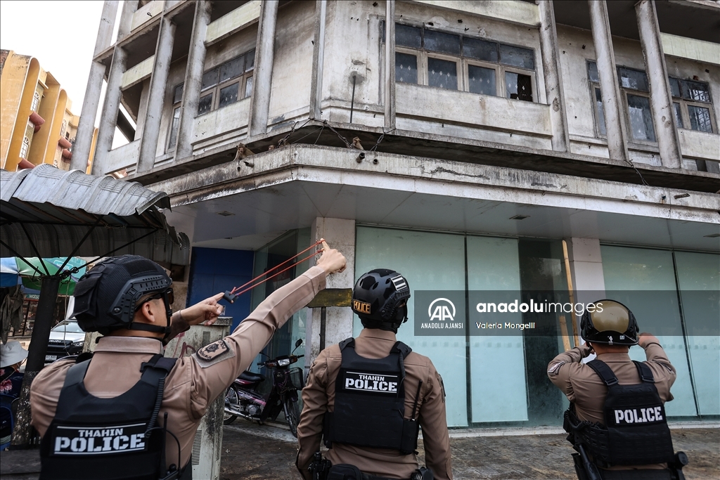 Tayland'ın Lopburi kentindeki sayıları hızla artan makak maymunları güvenlik tehdidi oluşturuyor