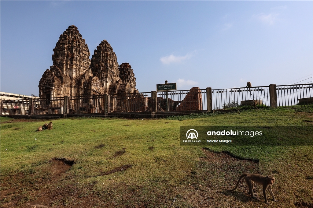 Tayland'ın Lopburi kentindeki sayıları hızla artan makak maymunları güvenlik tehdidi oluşturuyor