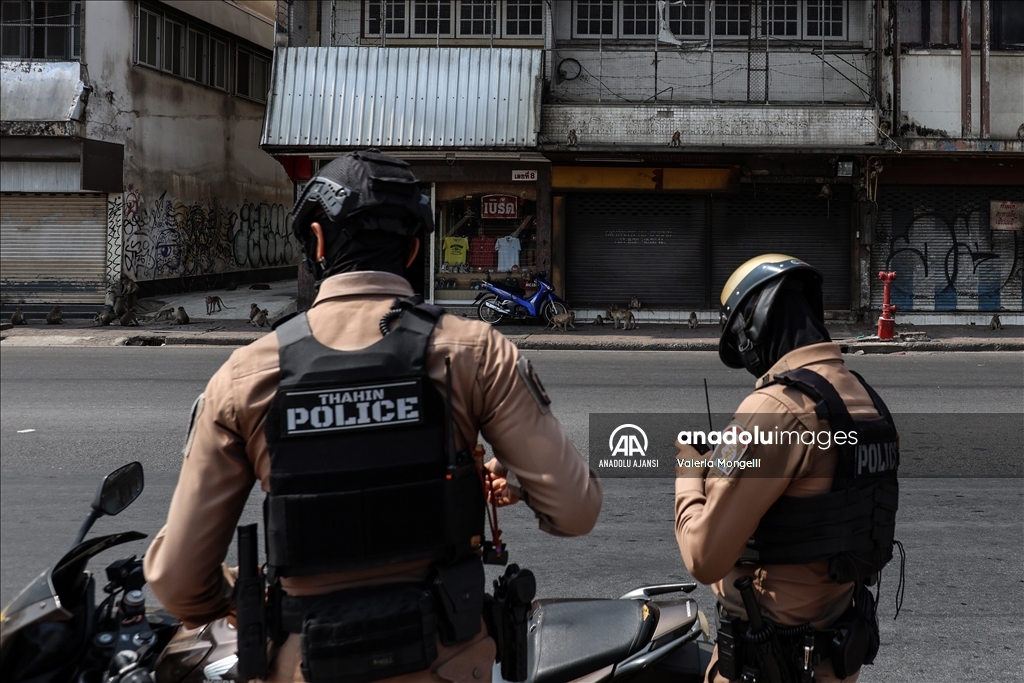Tayland'ın Lopburi kentindeki sayıları hızla artan makak maymunları güvenlik tehdidi oluşturuyor