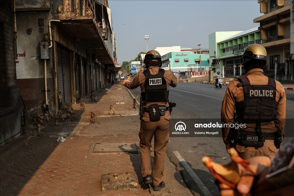Tayland'ın Lopburi kentindeki sayıları hızla artan makak maymunları güvenlik tehdidi oluşturuyor
