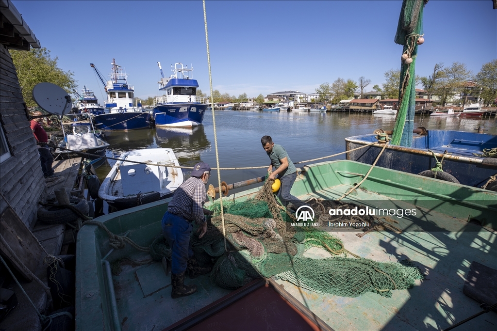 Sakarya'da balıkçılar, av yasağının başlamasıyla limanlara demirledi