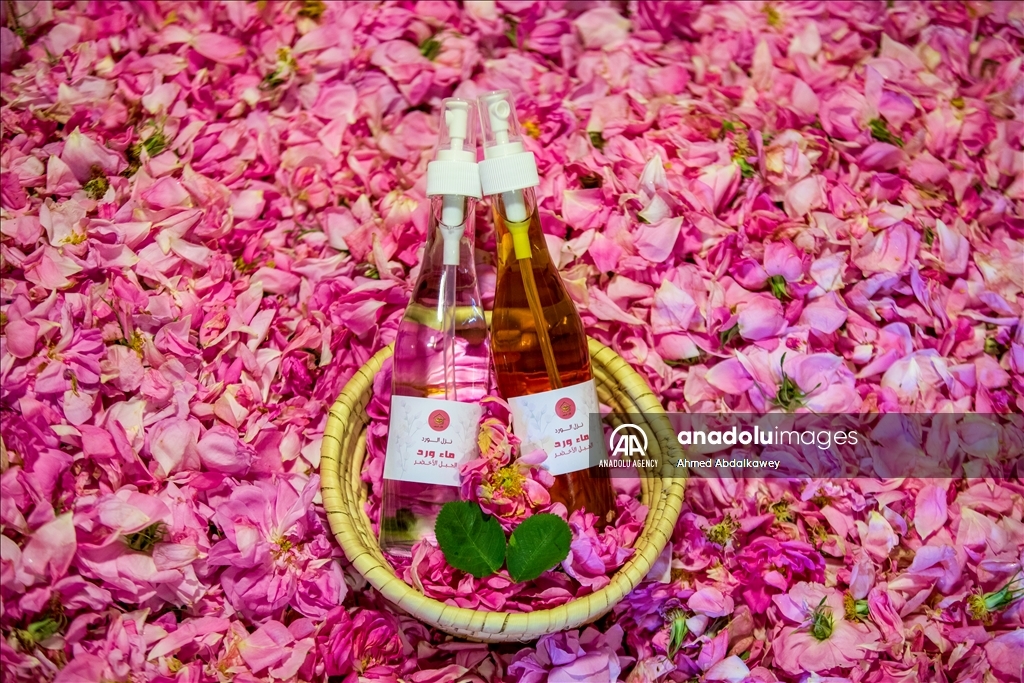 Rose cultivation remains one of leading livelihoods of Omanis