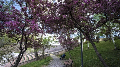 Ankara'da ilkbahar