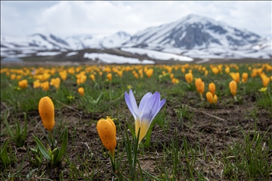 В горы Гейик в Турции пришла весна
