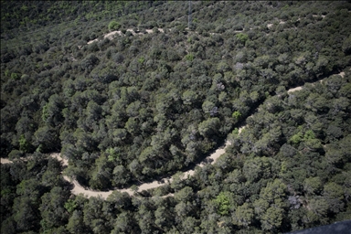 Беспрецедентная засуха в Испании увеличивает риск возникновения лесных пожаров