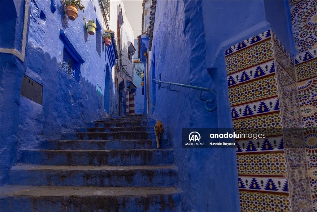 Туристическая жемчужина Марокко: Шефшауэн или «синий город»