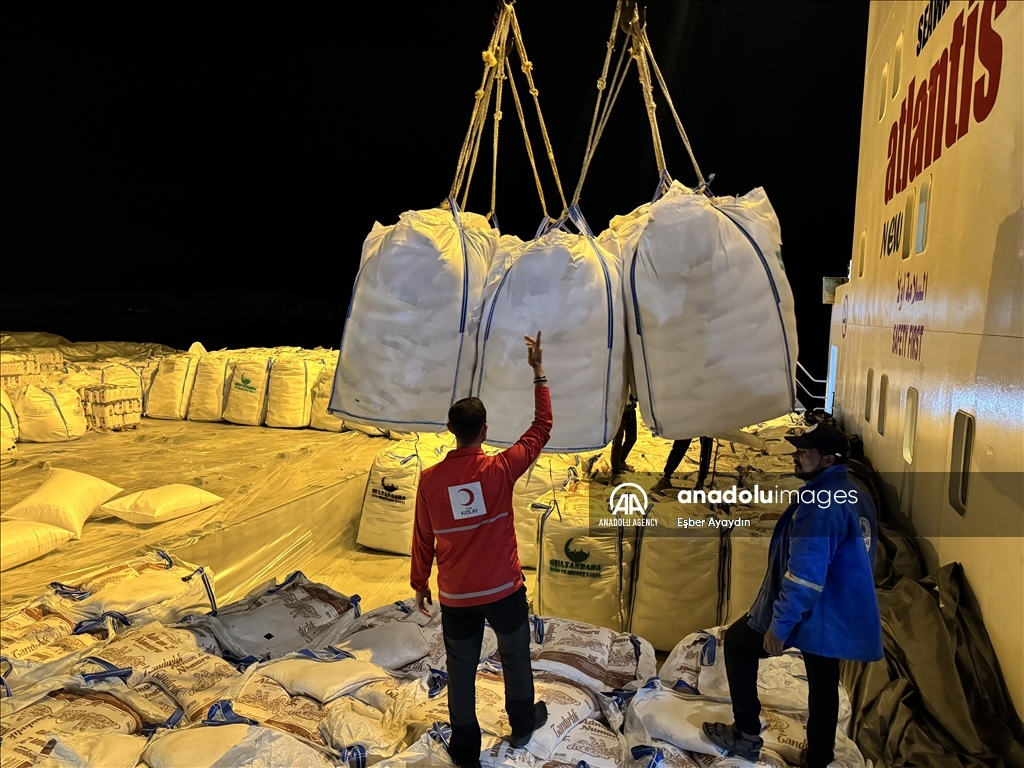 В Египте началась выгрузка с девятого корабля с гумпомощью из Турции для Газы