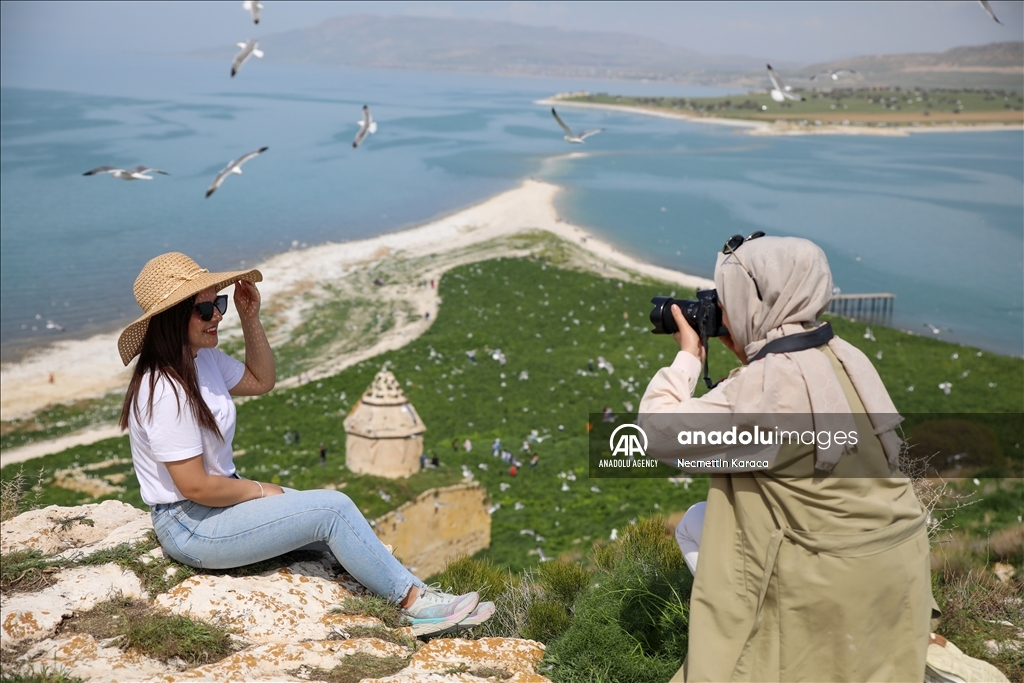Нетронутая природа острова Чарпанак в турецком Ване привлекает любителей красивых кадров