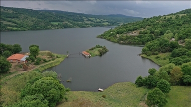 Manyas Barajı'nda baharda su seviyesi yükselince ada oluşuyor