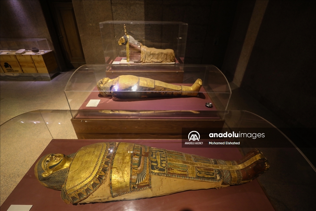 متحف النوبة بمصر.. مزيج حضارات قديمة على "أرض الذهب"
