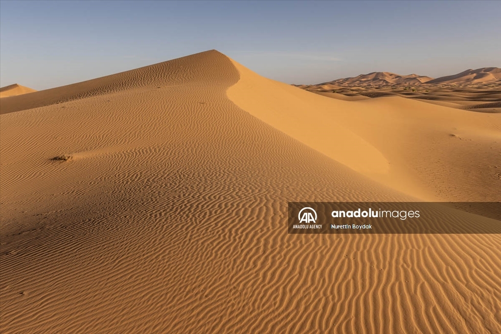 Сахара е најголема топла пустина во светот