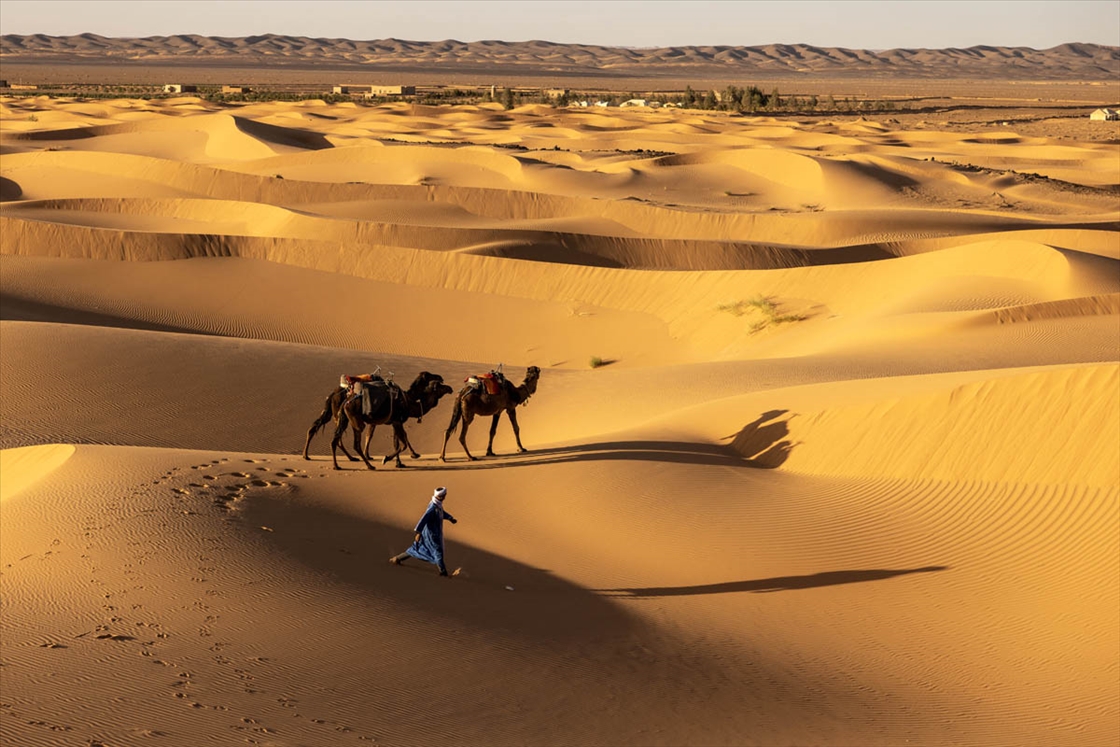 Сахара е најголема топла пустина во светот