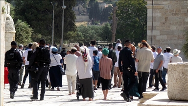 Еврейские фанатики совершили провокацию в мечети «Аль-Акса»