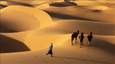 Dünyanın en büyük sıcak çölü: Büyük Sahra