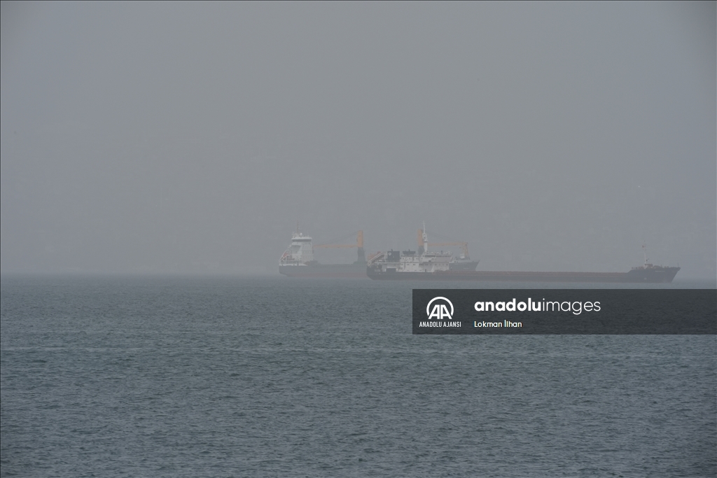 Kuzey Afrika kaynaklı toz taşınımı İzmir'de etkili oldu