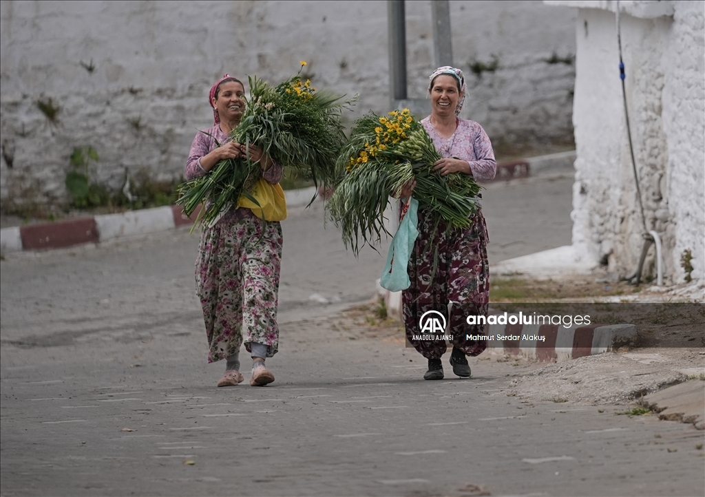 Kuru otlar, İzmir'de bir kırsal mahallenin geçim kaynağı oldu