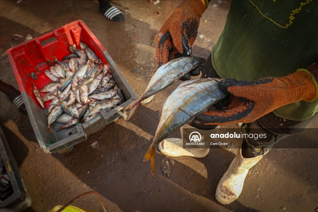 Senegal’de halkın geçim kaynağı ‘’balıkçılık’’
