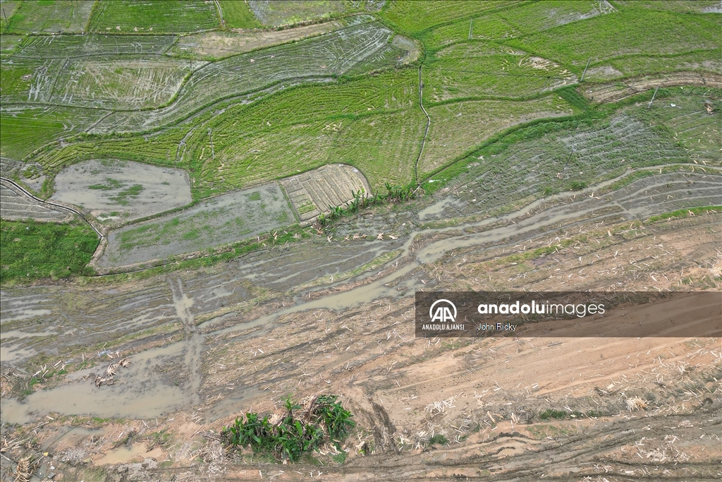Çin'de yaşanan sele dönüşen şiddetli yağış Guangdong eyaletini vurdu
