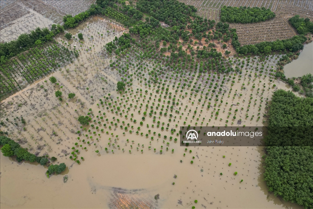 Çin'de yaşanan sele dönüşen şiddetli yağış Guangdong eyaletini vurdu
