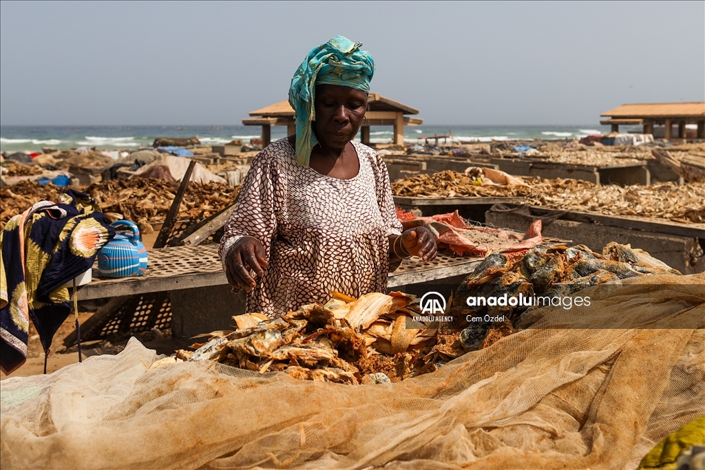 Жители Сенегала обеспечивают средства к существованию за счет рыбалки
