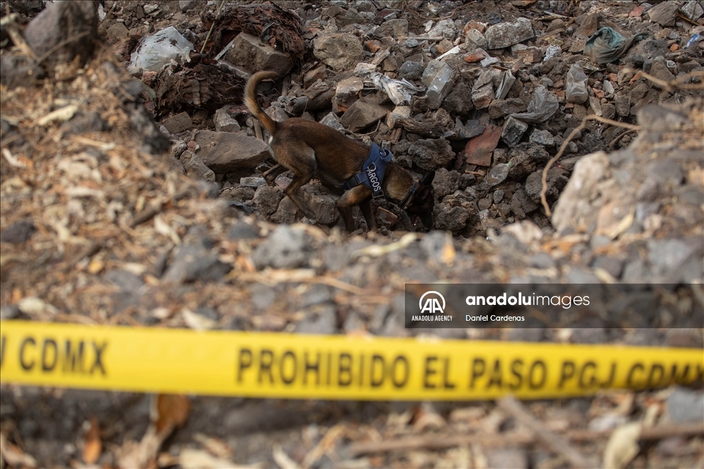 В Мексике продолжаются поиски пропавших без вести людей