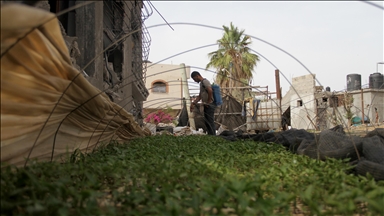İsrail, Gazze'deki tarım arazileri ve tesislerinin yüzde 90'nı tahrip etti