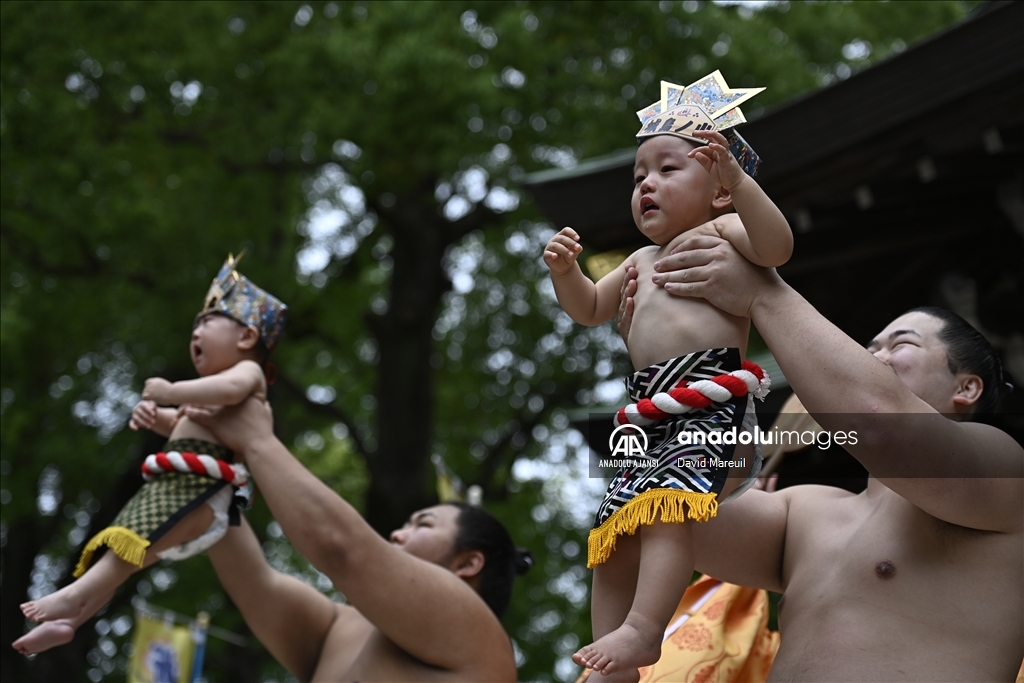 Japonya'da 'ağlayan bebek sumo' yarışması
