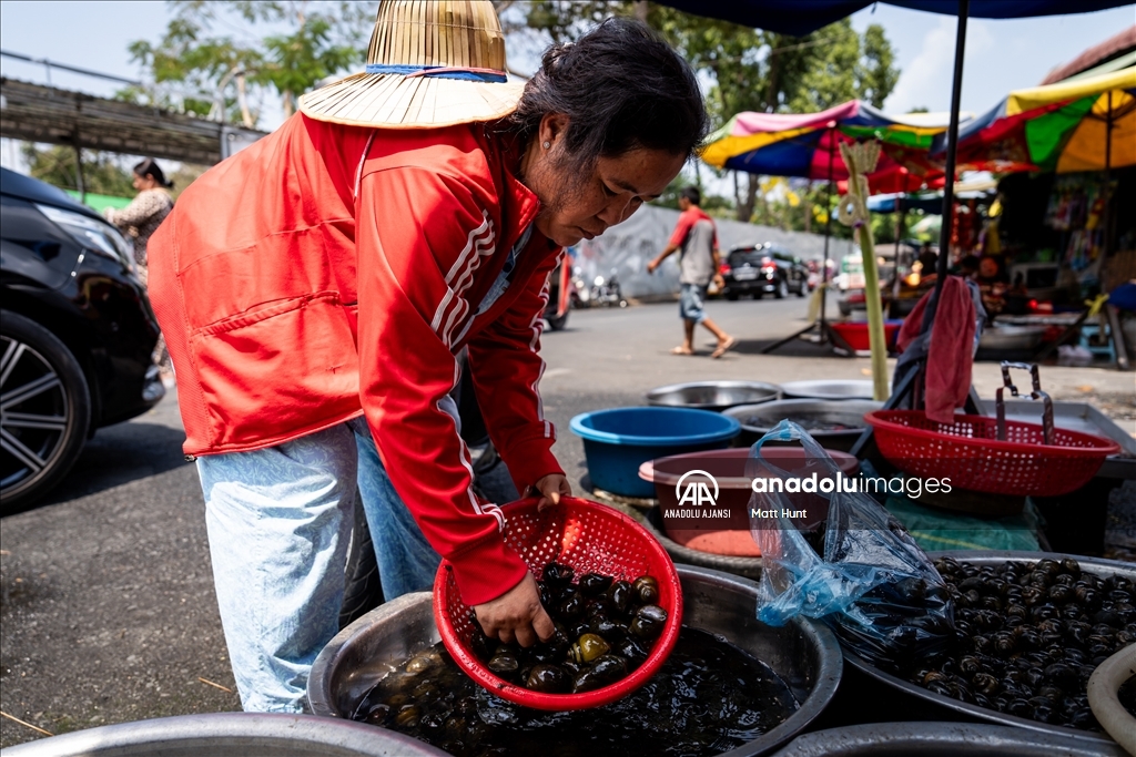 Kamboçya'nın başkenti Phnom Penh'de günlük yaşam