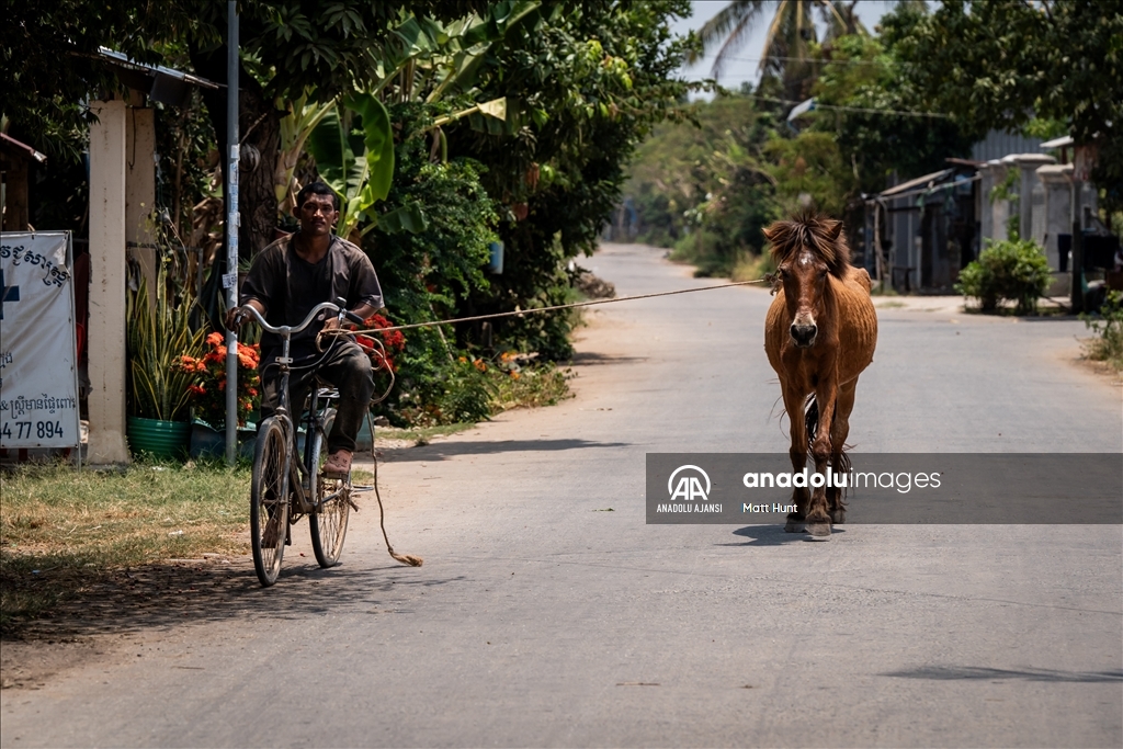Kamboçya'nın başkenti Phnom Penh'de günlük yaşam