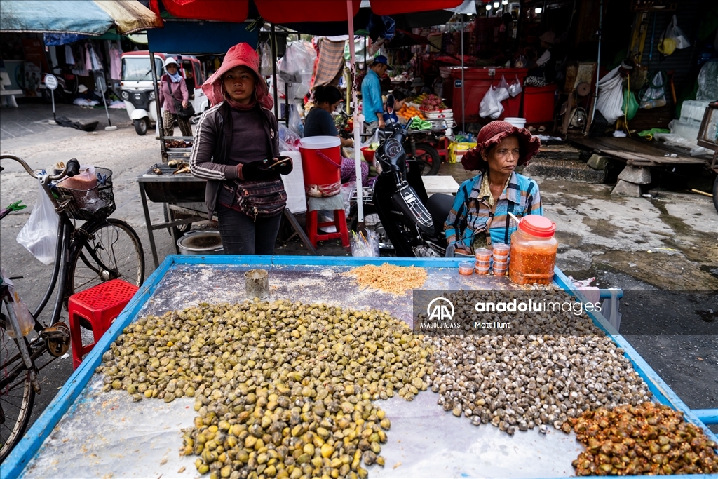 Kamboçya'nın başkenti Phnom Penh'de günlük yaşam
